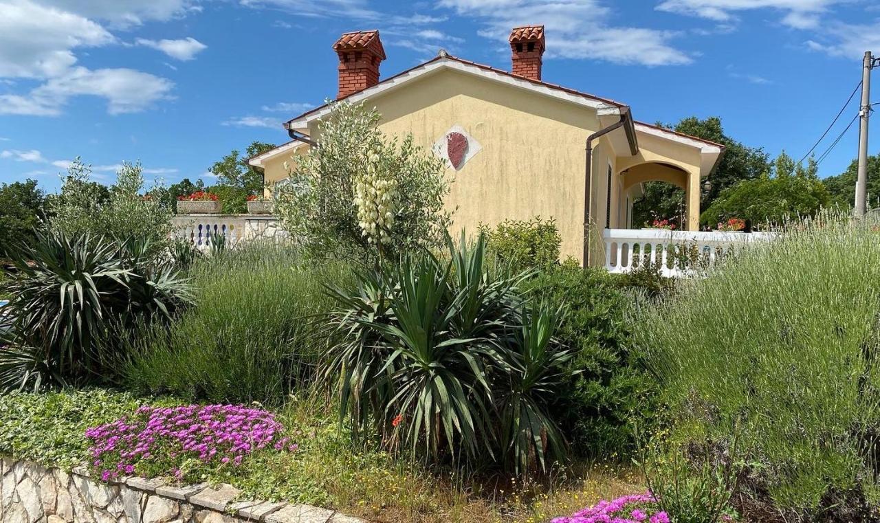 Villa Yucca Istra Labin (Istria) Exterior foto